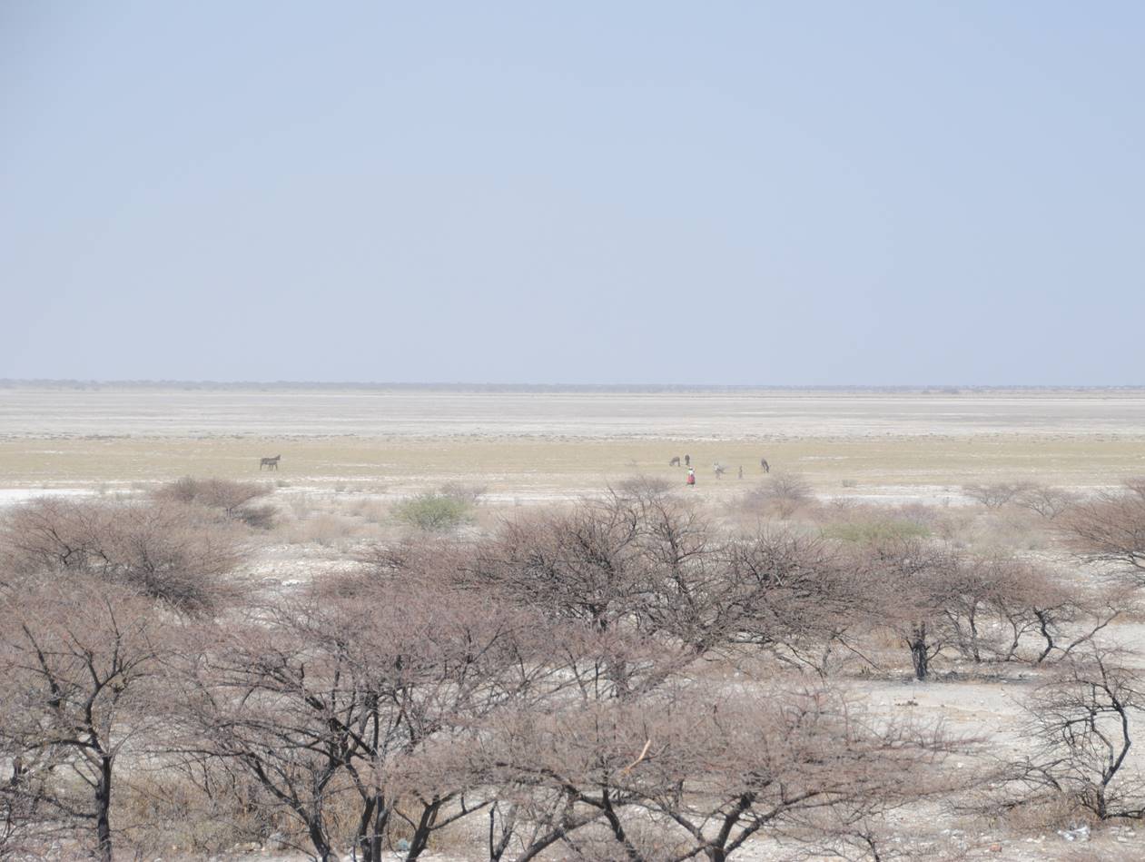 Value of protected areas of Botswana's Makgadikgadi Pans and optimal models for co-management and a financing strategy.