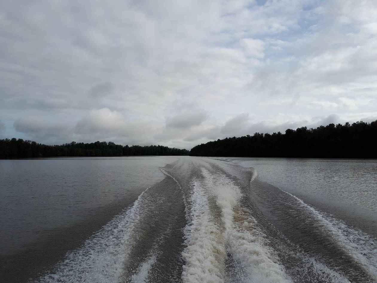 Sierra Leone estuarine specialist study: baseline & impact assessment