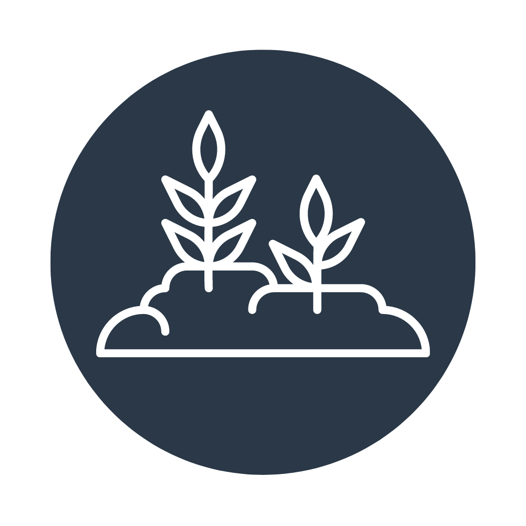 Natural capital assessment _ accounting