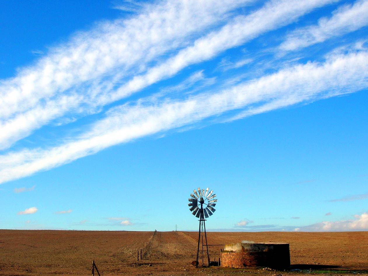 Livestock Predation and its Management in South Africa: A Scientific Assessment