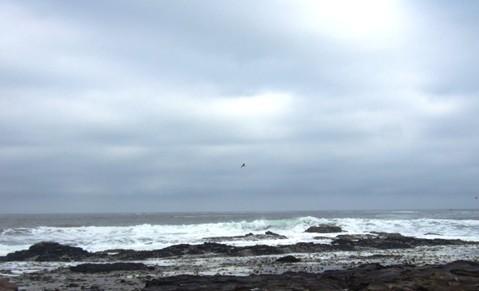 Coastline