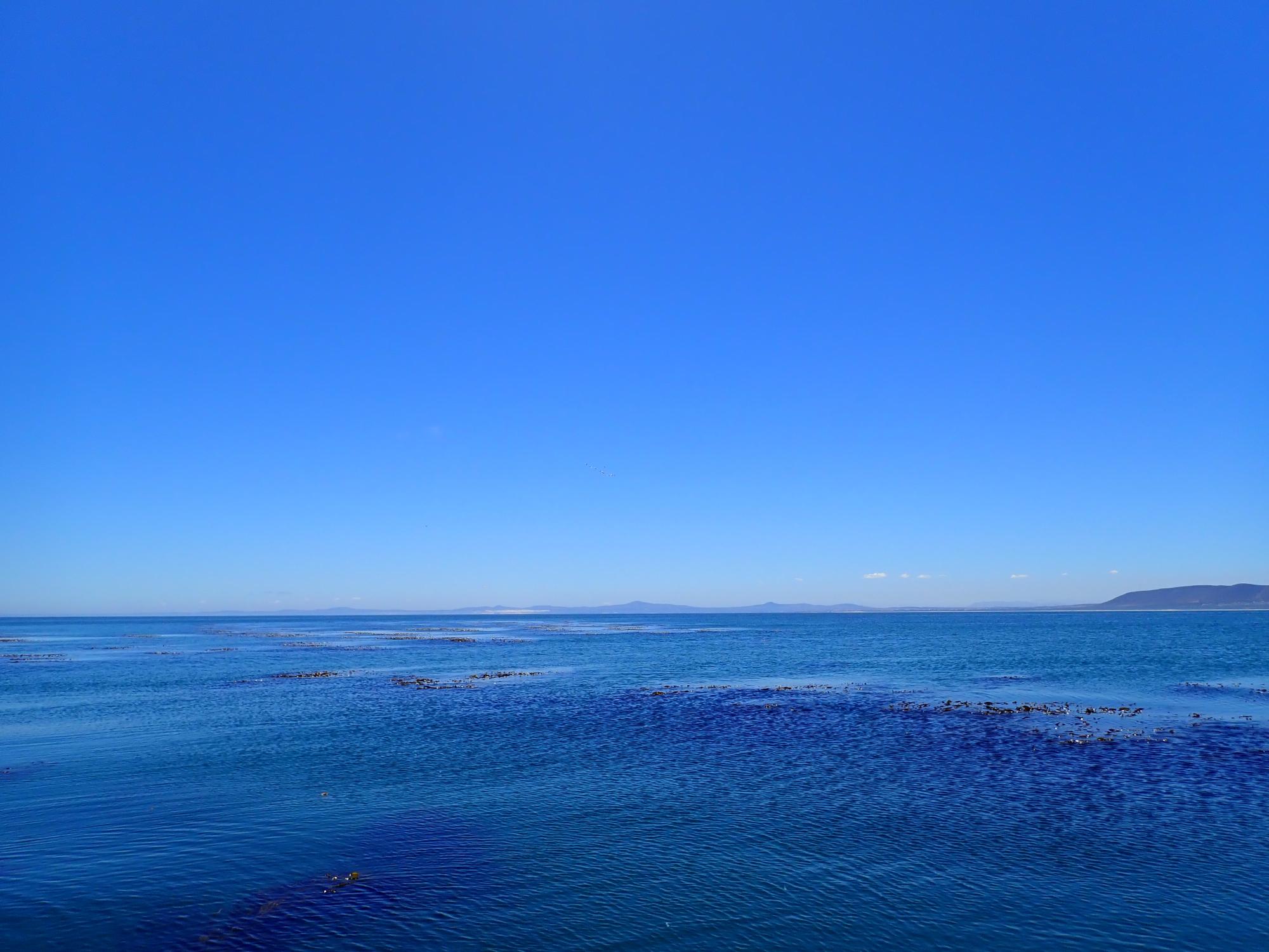 Ocean