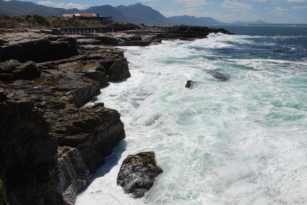 Environmental Impact Assessment for the construction and operation of a wave energy converter (WEC)