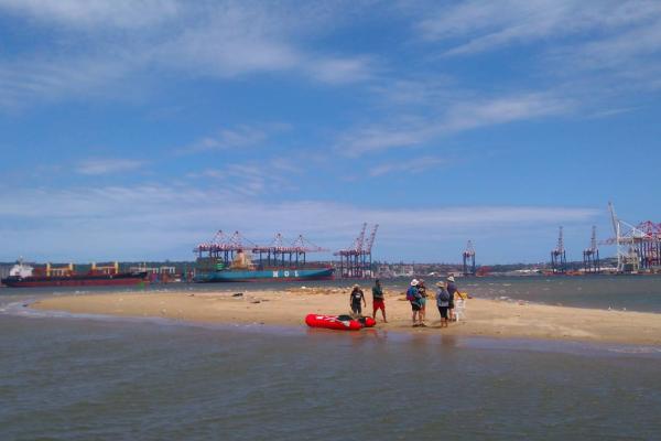 Assessment of ecosystem goods and services associated with Durban Bay.
