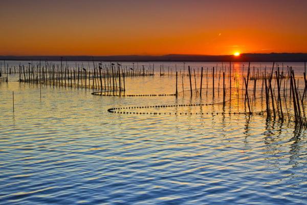 Assessment of the likely impacts of climate change on estuaries in southern Africa.  