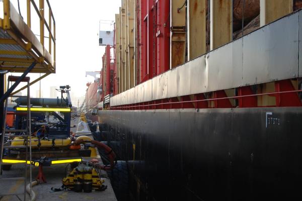 Ballast water, flora and fauna survey in the Ports of Durban and Port Elizabeth.