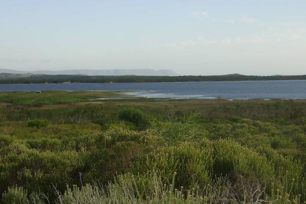 Environmental flows assessment for the Klein River estuary, South Africa.