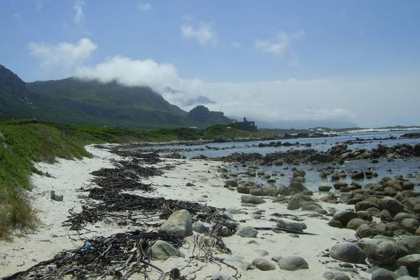 Ecology, value and management of the Kogelberg coast.