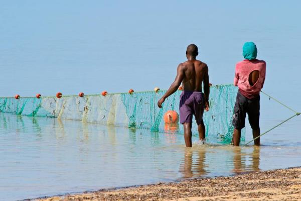 Fisheries monitoring control surveillance strategy & policy