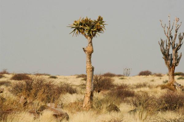 Valuation and financial plan for Namibia’s protected area system