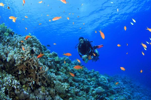 Development of a fine scale conservation plan for the Agulhas Marine Bioregion.