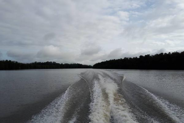 Sierra Leone estuarine specialist study: baseline & impact assessment
