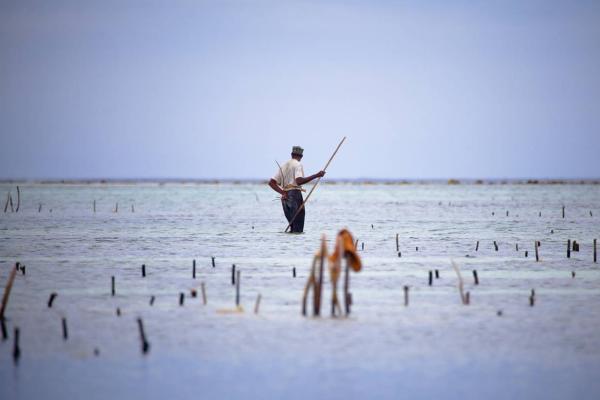 Baseline description and health assessment for the Rovuma Basin.