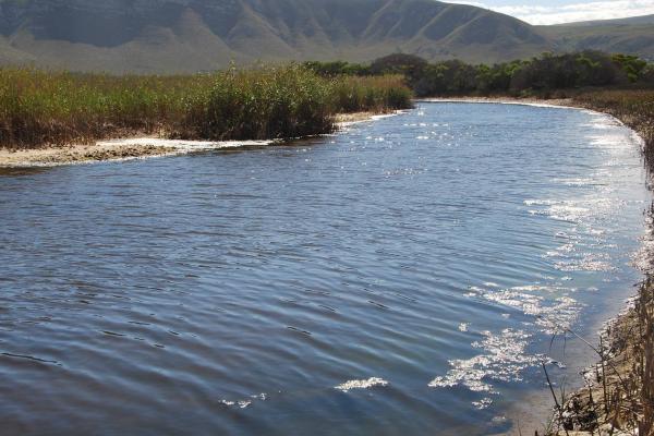 Determination of the ecological water reserve for the Uilkraals estuary
