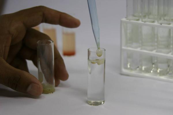 Water quality assessment and toxicity testing for a proposed coal transfer facility in Beira, Mozambique
