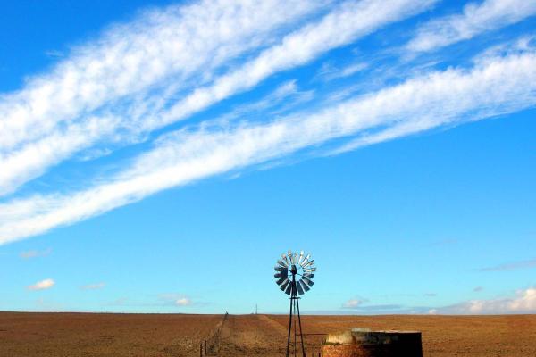 Livestock Predation and its Management in South Africa: A Scientific Assessment