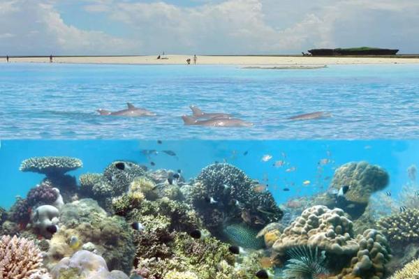 Kenya coral reef