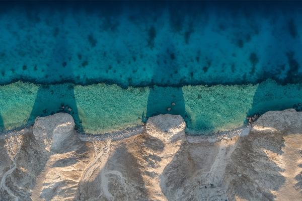 NEOM_coast