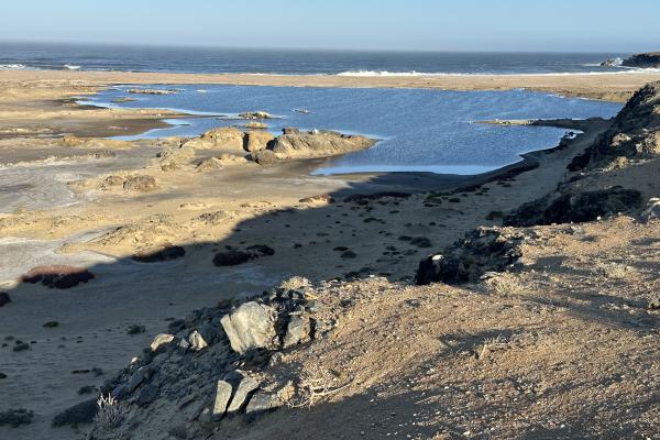 Boegoebaai_coast